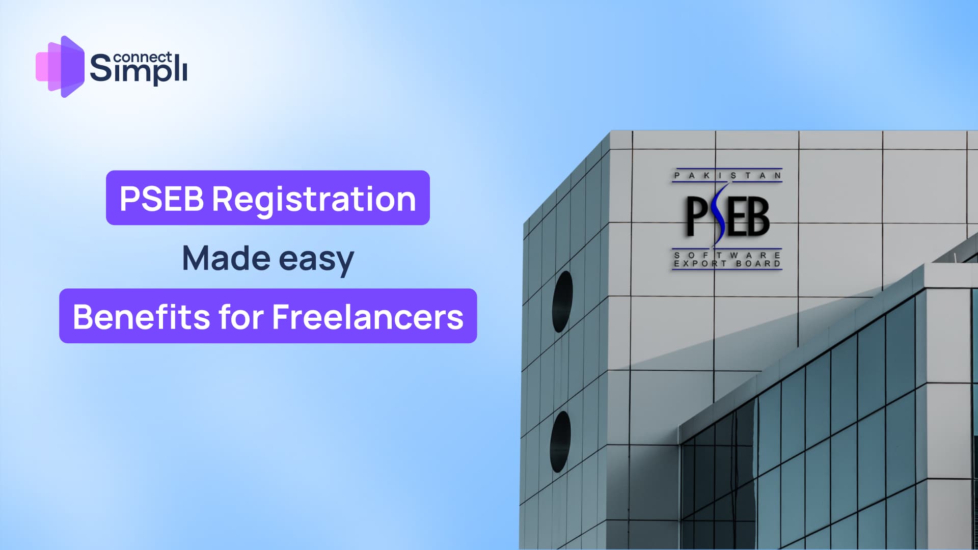 Freelancer completing PSEB registration online for tax benefits and government programs